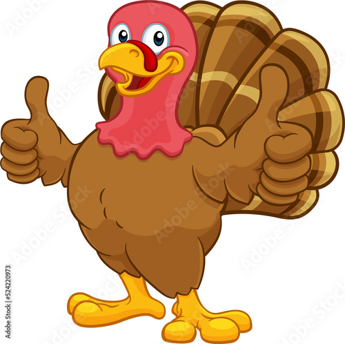 Turkey Thanksgiving or Chri...