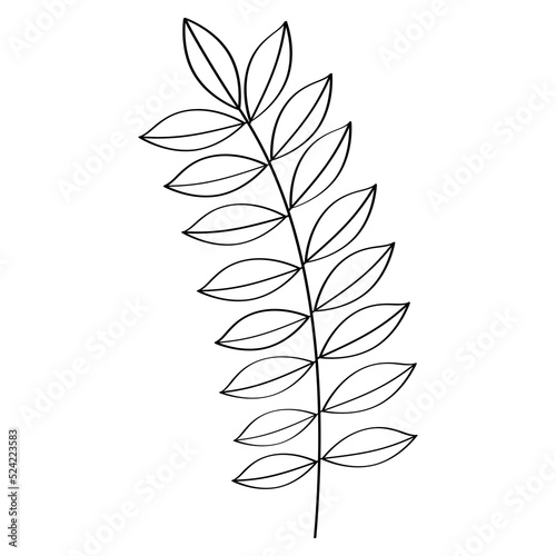 A branch with a leaf on a white background. Vector illustration design. A simple illustration of a branch with a leaf. 