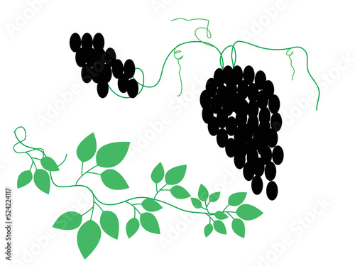 bunch of grapes with leaves