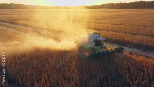 Harvesting combine field food agriculture wheat sunset food working