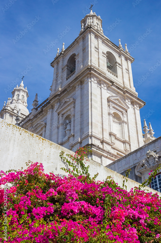 Pink flowers in front of the Sao Vicente church in Lisbon, Portugal