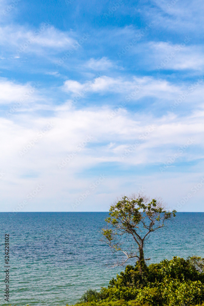 scenic view of lonely tree in the island with blue ocean landscape background