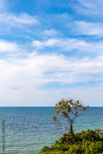 scenic view of lonely tree in the island with blue ocean landscape background © MOHDSUFRI
