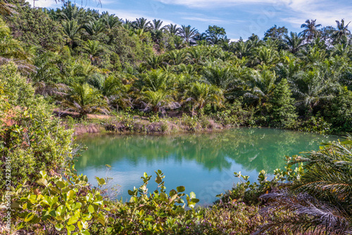 Scenic landscape view of a natural lagoon with transparent turquoise water in rainforest jungle at North Borneo
