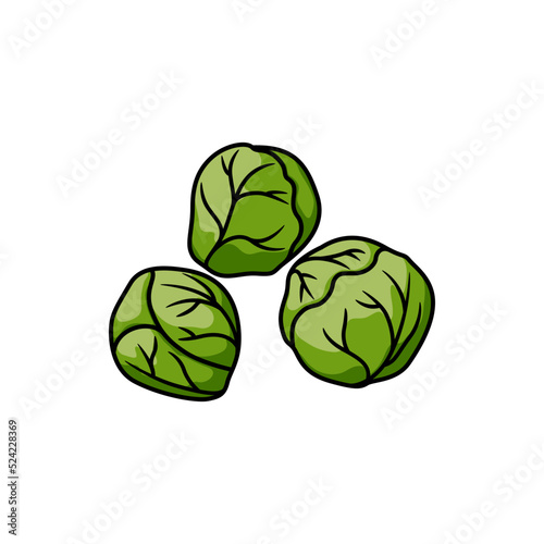 Brussels sprouts isolated leaf vegetable edible buds. Vector mini cabbage, vegetarian food