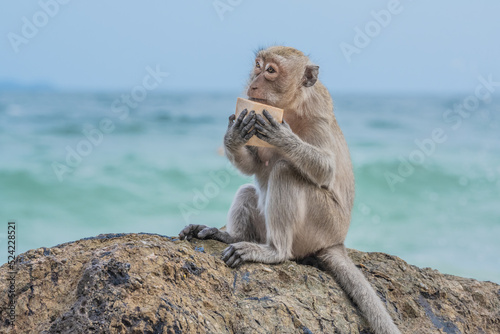 Ko Lan ist eine Insel im östlichen Teil der Zentralregion von Thailand. Ko Lan gehört zur Provinz Chonburi, Amphoe Bang Lamung und liegt im östlichen Golf von Thailand etwa 9 Kilometer von Pattaya.