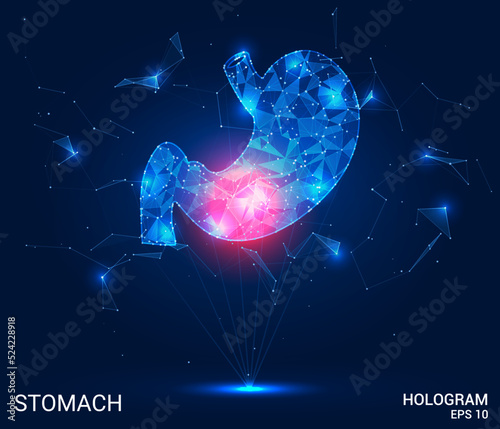 The stomach hologram. A stomach of polygons, triangles of dots and lines. Stomach pain icon low-poly compound structure. Technology concept vector.