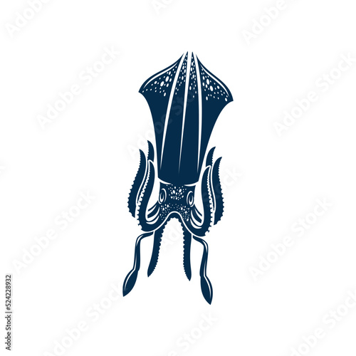 Squid isolated mollusk Cephalopods icon. Vector hand drawn hooked squid with elongated bodies, large eyes, eight arms and two tentacles, bilateral symmetry, and mantle. Marine underwater animal mascot