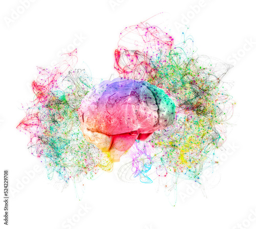 Human brain, illustration photo