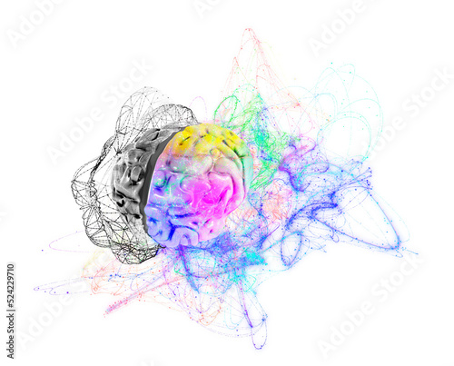Human brain cerebral hemispheres, conceptual illustration photo