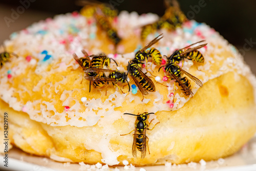 A dangerous Wasp on food photo