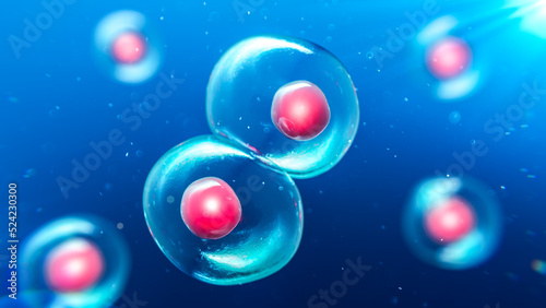 Daughter cells, illustration photo