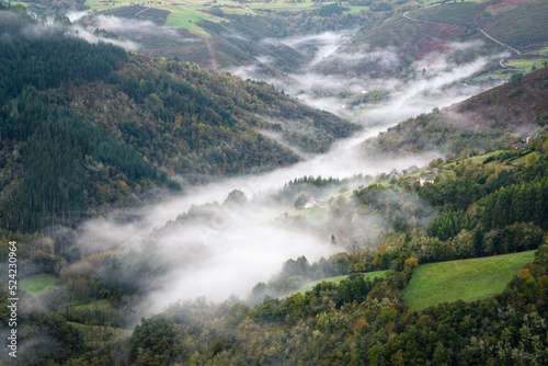 The morning fog between the forests and meadows of the Ser river valley