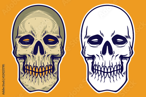 skull head vector illustration