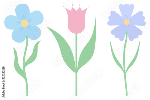 Flowers. Set of vector illustrations. Violet, tulip, cornflower. Delicate plants with green leaves. Flowering plants with a yellow heart. Flat style. Isolated background. Idea for web design