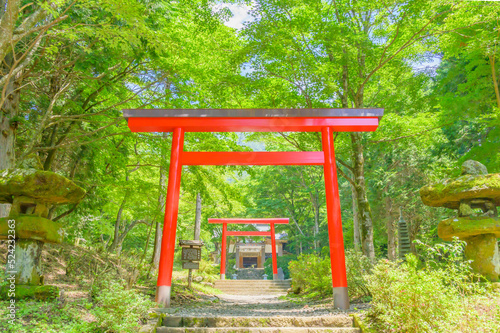 Red  Torii  Shrine Gate   in the Mountain