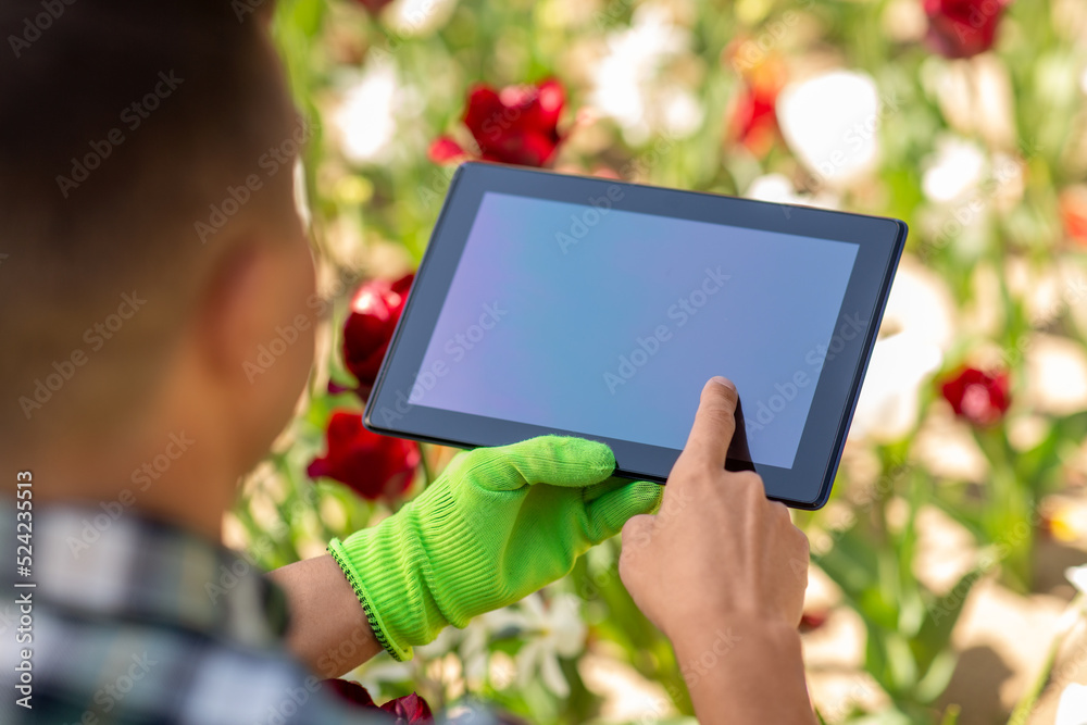 gardening and people concept - close up of man with tablet pc computer and flowers at summer garden