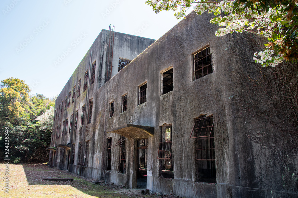 大久野島 戦争の遺跡「発電所跡」 広島県竹原市忠海町 Power Plant Ruins on Okunoshima, known as ...