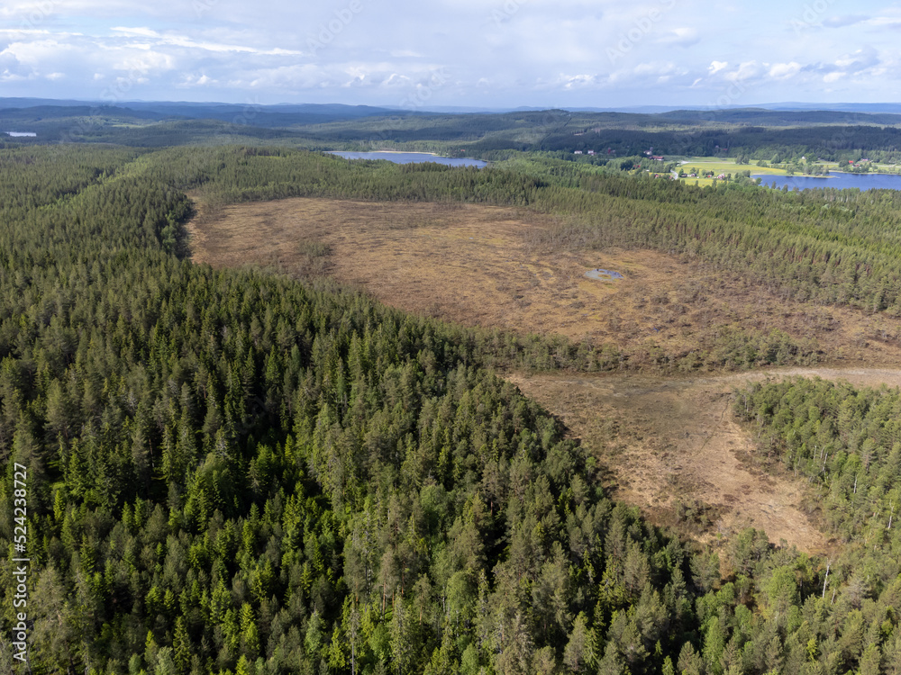 Obraz premium Aerial view of bog, fen field of peat. Drone photography taken from above in Sweden in summer. Surroundings with coniferous forest. Copy space.