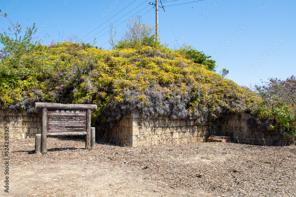 大久野島の中部砲台跡 広島県竹原市忠海町 Central Cannon Battery Ruins on Okunoshima island known as 大久野島の中部砲台跡 広島県竹原市忠海町 Central Cannon Battery Ruins on Okunoshima island known as
