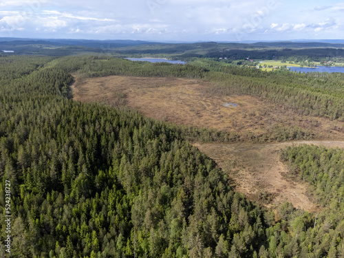 Aerial view of bog, fen field of peat. Drone photography taken from above in Sweden in summer. Surroundings with coniferous forest. Copy space.