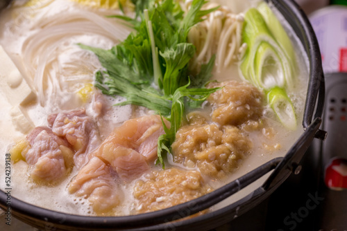 鶏の白湯（パイタン）鍋 photo