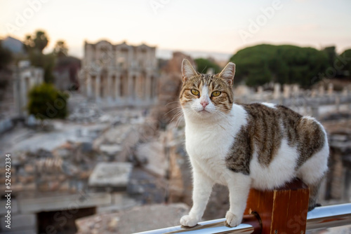 Ephesus Ancient City and Ep...