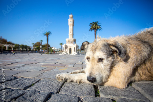 Turkey Izmir Old clock towe...