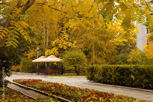 Autumn in public park with cozy gazebo, sidewalk by trees bushes and flowerbeds at fall season