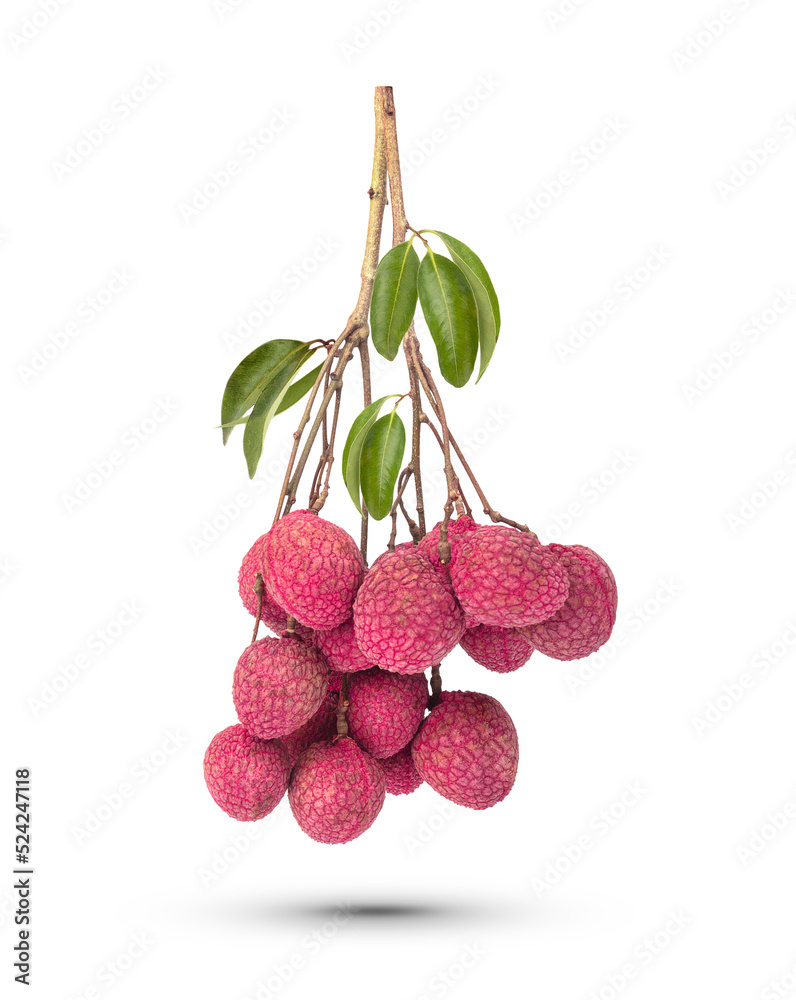 Fotografie Fresh lychee bunch with leaves isolated on transparent background (