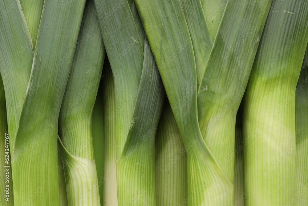 Fresh raw leeks as background, top view Fresh raw leeks as background, top view