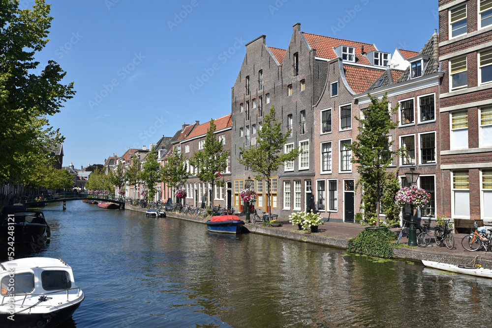 Canal paisible à Leiden. Pays-Bas