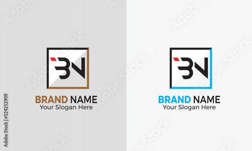 BN Professional logo for all kinds of business