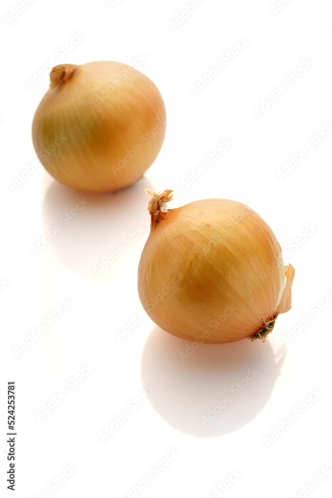 玉ねぎ 玉ねぎ