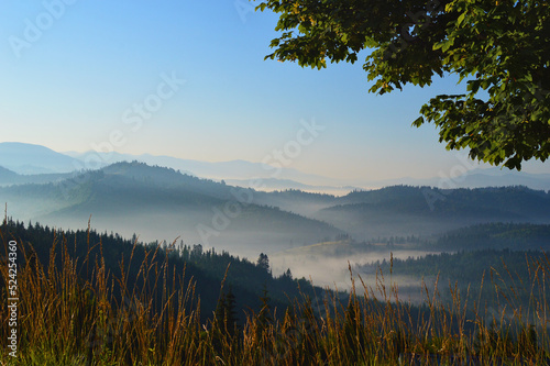 Sunrise in Carpathian mountains. Silhouettes of mountain peaks and morning fog in the background. Vibrant grass in the foreground.