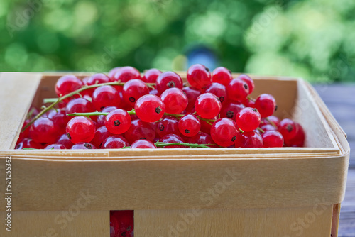 Red currants in wooden container