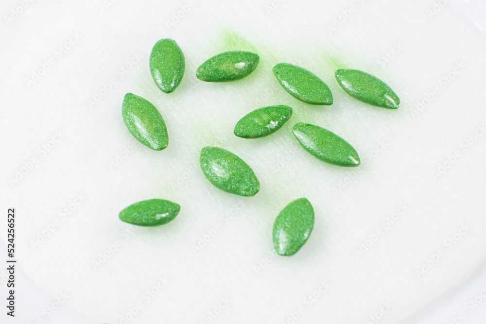 Growing cucumbers from seeds. Step 1 - Soaking the seeds on a cotton pad. Growing cucumbers from seeds. Step 1 - Soaking the seeds on a cotton pad.