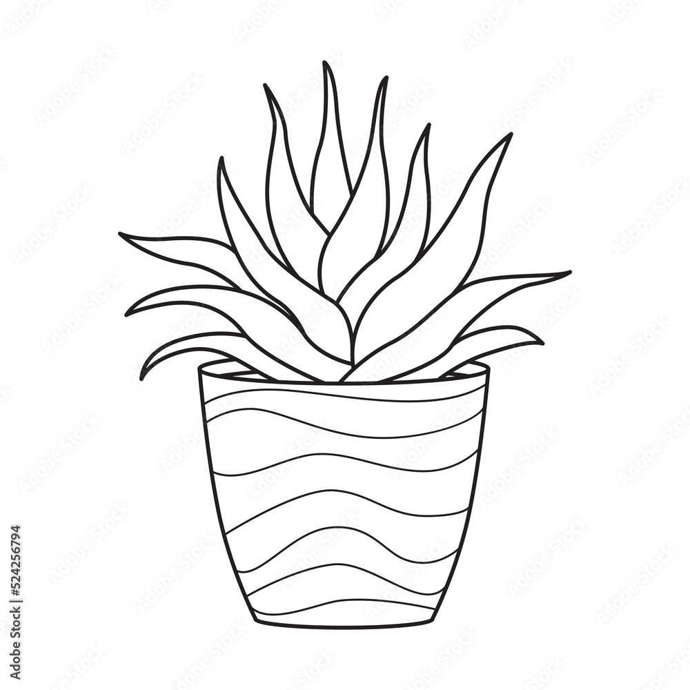Vector outline aloe in pot. Indoor succulent plant with fleshy leaves. House plant for home and interior. Botanical doodle linear black and white illustration isolated on white background.