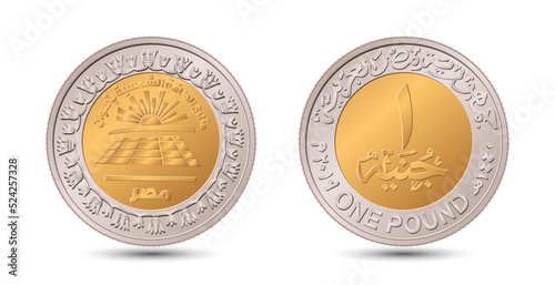Reverse and obverse of Egyptian one pound coin in vector illustration. photo