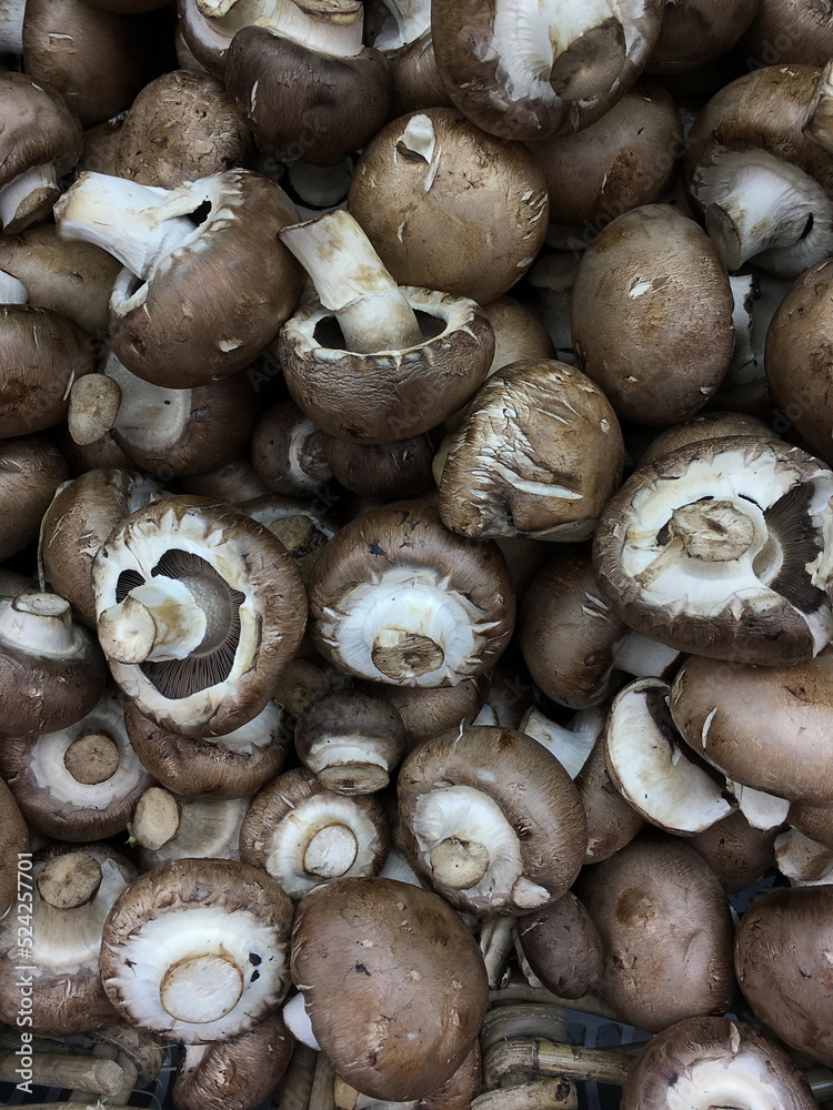 Heap of Black color mushrooms in the farmer's market. Food background. Heap of Black color mushrooms in the farmer's market. Food background.