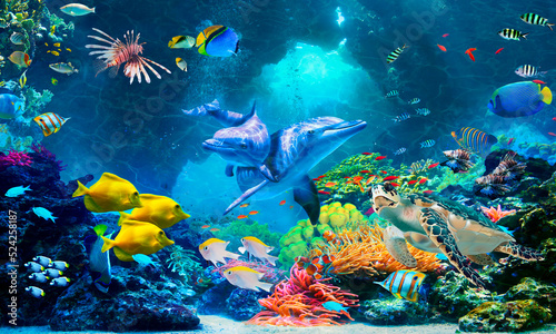 Underwater world with reefs and dolphins. Digital collage. Photo wallpapers.