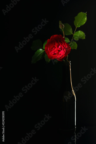 Red rose in the dark bottle