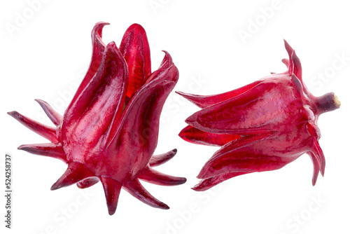 Tablou pe pânză Roselle Hibiscus sabdariffa red fruit flower on alpha background