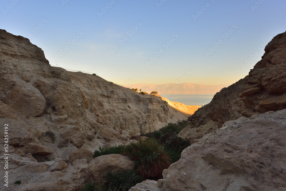 Holy Land of Israel. Ein Ghedi Reserve.