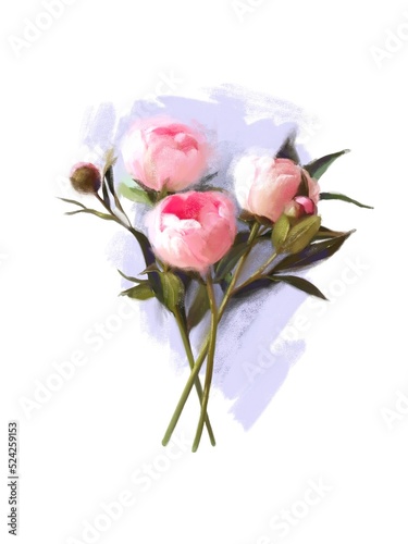 delicate, beautiful bouquet of realistic pink peonies on a lilac background. digital hand drawn illustration. use for decoration, logo, packaging or label, postcard and poster printing.