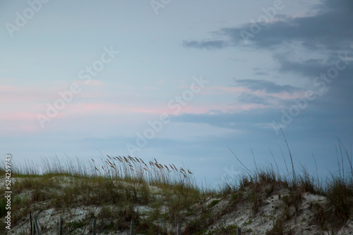 Sea Oats and sunrise