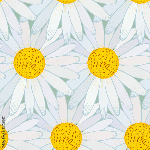 Fotótapéta Chamomile flowers pattern, vector illustration