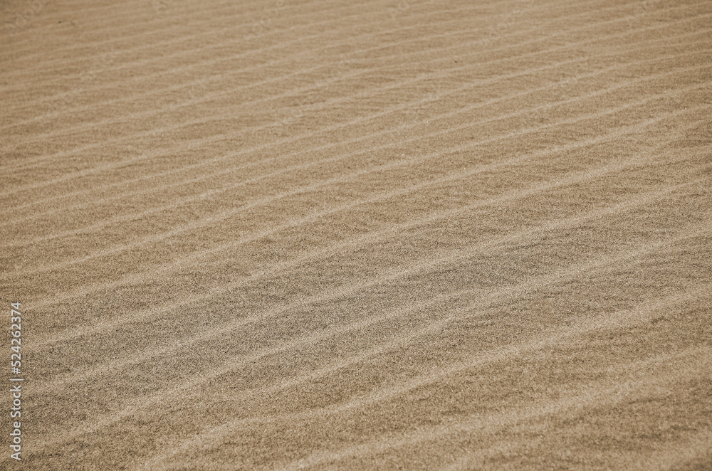 Desert of Sinai Peninsula, Egypt. Near Sharm El Sheikh Desert of Sinai Peninsula, Egypt. Near Sharm El Sheikh