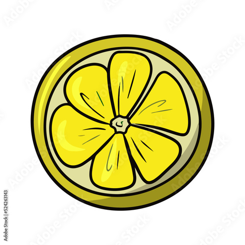 Bright round slice of lemon, ingredients for making tea, cocktails, pastries, vector cartoon