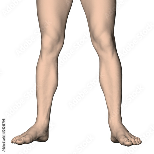 Realistic human foot isolated on white background. Men's legs spaced shoulder-width apart. 3D. Vector illustration.